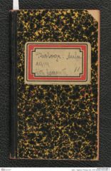 Seite 1, Tagebuch "Photogr. Aufn. 1919" (NHMW-PRAE-BBB-11)